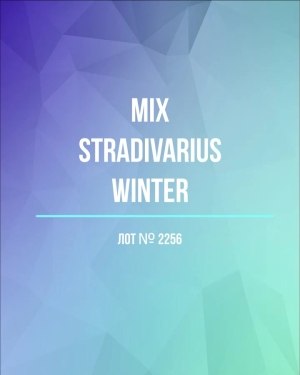 Купить STRADIVARIUS Winter mix#15 кг, ЛОТ №2256 оптом в Ростове-на-Дону и Ростовской области