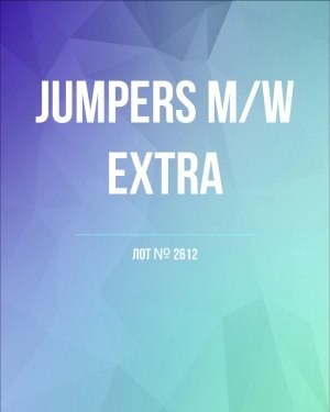 Купить Джемпер муж+жен экстра#15 кг , Лот№2612 оптом в Ростове-на-Дону и Ростовской области