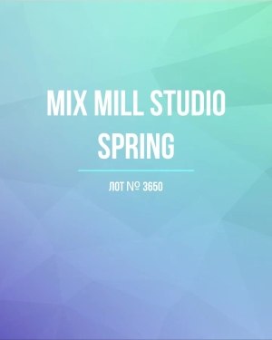Купить MILL STUDIO Spring mix#15 кг, ЛОТ №3650 оптом в Ростове-на-Дону и Ростовской области