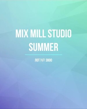 Купить MILL STUDIO Summer mix#15 кг, ЛОТ №3800 оптом в Ростове-на-Дону и Ростовской области