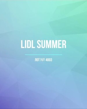 Купить LIDL Summer#20 кг, ЛОТ №4003 оптом в Ростове-на-Дону и Ростовской области