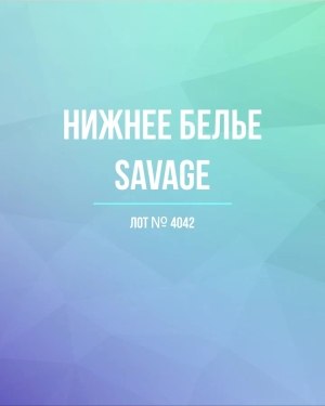 Купить Нижнее белье Savage, 50 шт, ЛОТ №4042 оптом в Ростове-на-Дону и Ростовской области