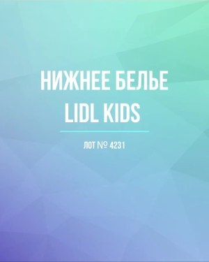 Купить Нижнее белье LIDL Kids#5 кг, ЛОТ №4231 оптом в Ростове-на-Дону и Ростовской области
