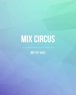 Купить CIRCUS mix #13 кг, ЛОТ №4257 оптом в Ростове-на-Дону и Ростовской области