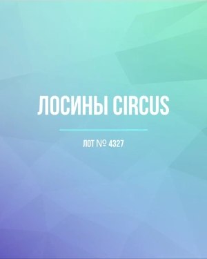 Купить Лосины CIRCUS #6,2 кг, ЛОТ №4327 оптом в Ростове-на-Дону и Ростовской области