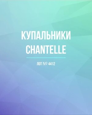 Купить Купальники Chantelle#23 шт, ЛОТ №4412 оптом в Ростове-на-Дону и Ростовской области