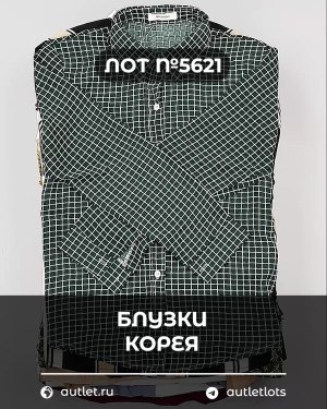 Купить Блузки Корея#20 шт, ЛОТ №5621 оптом в Ростове-на-Дону и Ростовской области