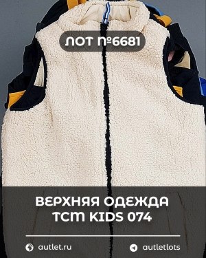 Купить Верхняя одежда TCM kids 074#7 кг, ЛОТ №6681 оптом в Ростове-на-Дону и Ростовской области