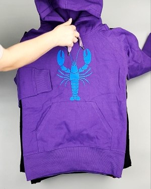 Фотография  981 - Толстовки м/ж (Sweat Tops)#20 кг, ЛОТ №7431 оптом в Ростове-на-Дону и Ростовской области